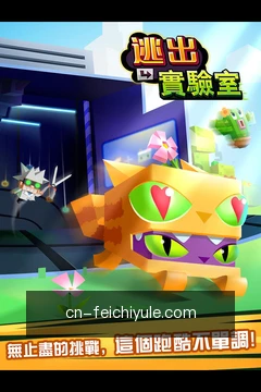 飞驰娱乐APP
